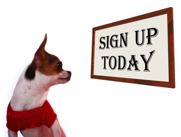 Sign up for pet sitting website
