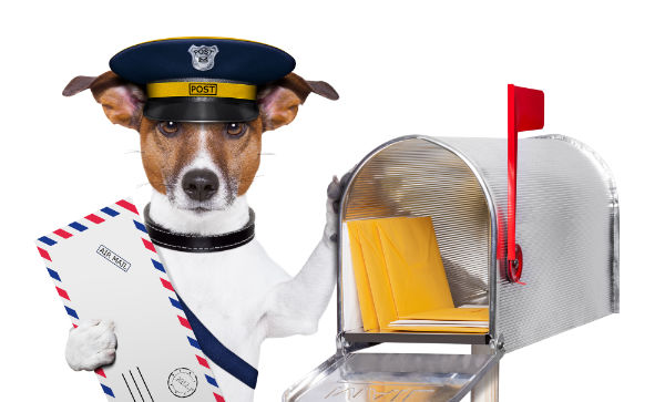postman mail dog